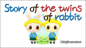 twin_rabbits_story